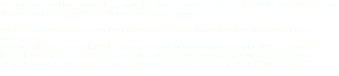 Hauptsächlich wird bei unserem Training der Karate Stil "Shotokan" geübt. Das bedeutet, dass die Techniken der sogenannten Grundschule aus diesem speziellen Stil stammen. Diese Techniken dienen dazu, den Körper und dessen Koordination zu trainieren und auf das Kumite vozubereiten. Aber auch Elemente andere Kampfkünste werden nicht außer Acht gelassen. So trainieren wir neben der klassischen Grundschule und den Kata (Formen mit festgelegtem Laufmuster) auch mit moderneren Elementen wie z.B. Stockkampf, Kubotan oder generelle Selbstverteidigung für den "Straßenkampf". 